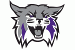 Weber State Wildcats Watches